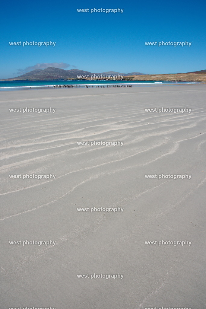 The Rookery Beach 7 SND - FLK 2014 | west photography - Realisiert mit Pictrs.com
