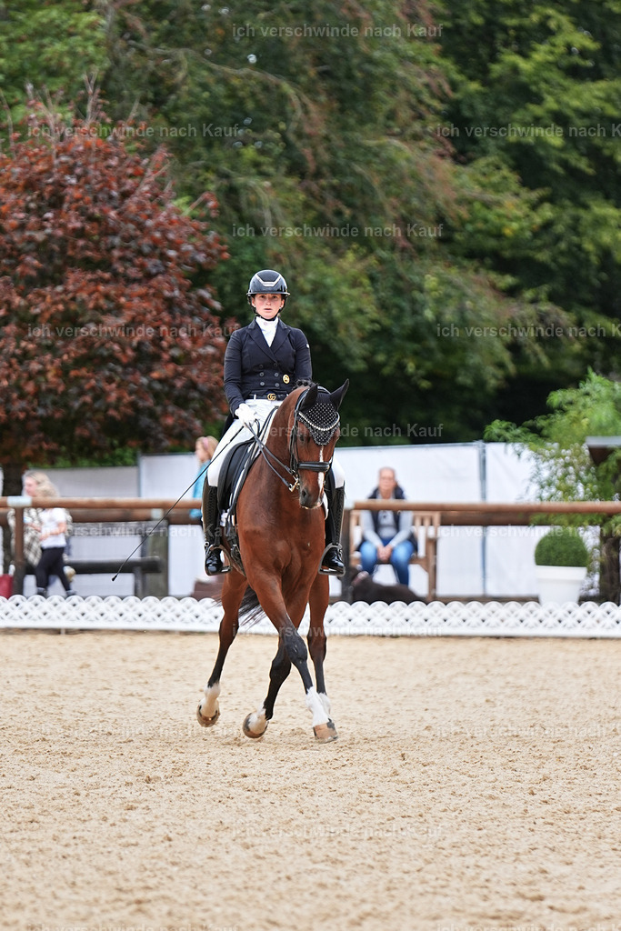 11-048-Dressur S___-Marixx-1518 | working equitationturnier fotograf videograf stoibphotography marixx film working equitation deutschland reitsport turnierfotografie eventfotografie equestrian events
