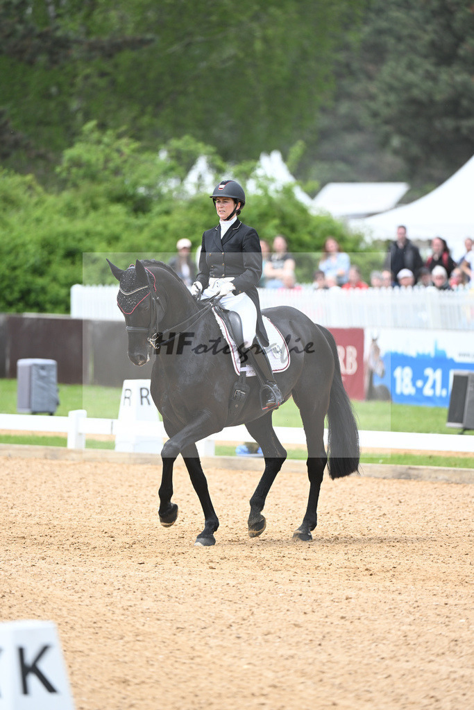 Meijs_Freddy Couples_11233469 | hf-fotografie - Realisiert mit Pictrs.com