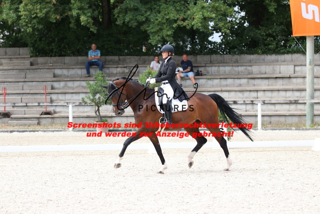 IMG_1716 | lmwpictures - Realisiert mit Pictrs.com