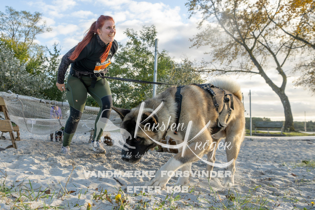 1642_ZZ98616 | kk-dogfotos