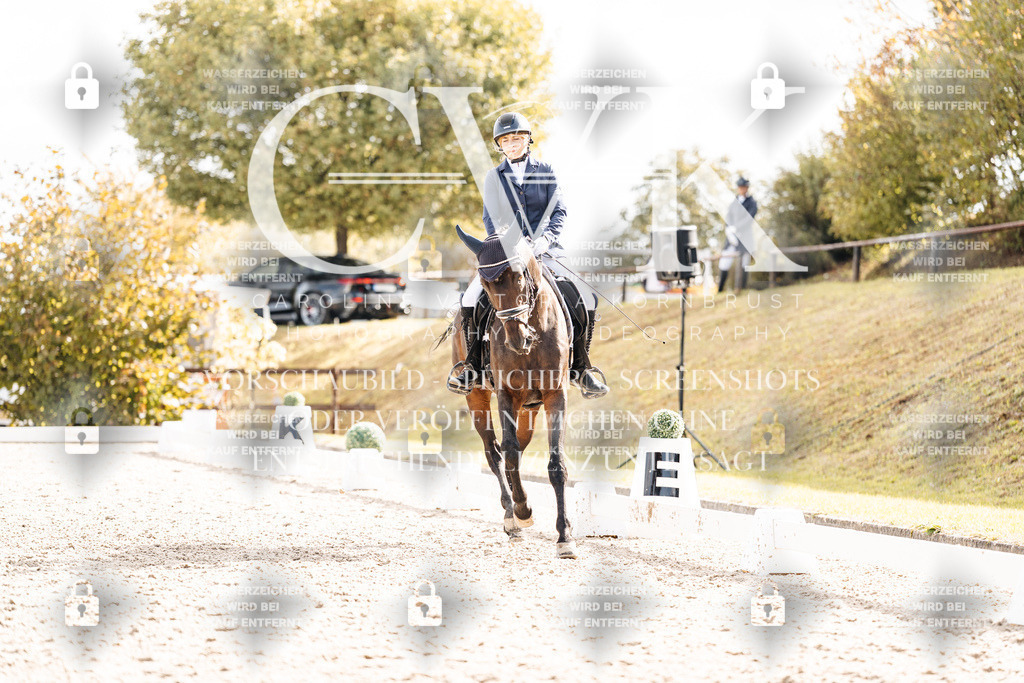CK901473 | Turnierfotografie Pferdefotografie Trier Rheinland-Pfalz Pferdesport Reitsport Tierfotografie Sportfotografie Pferdevideo Pferdevideografie Equestrianvideography equestrianphotography  - Realisiert mit Pictrs.com