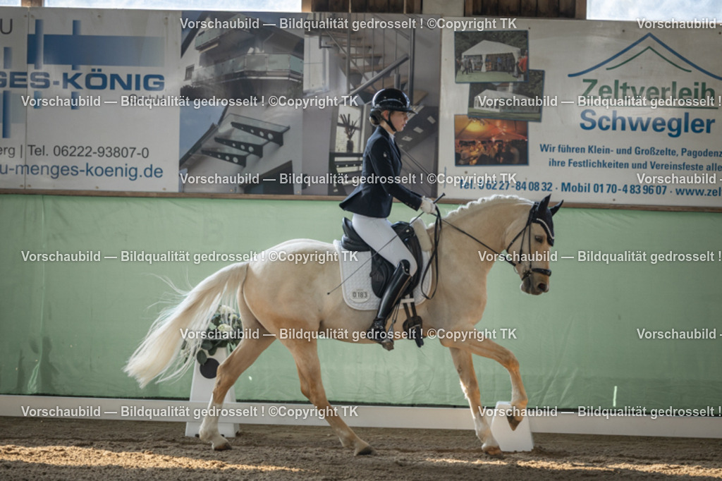 _D5A8210 | Emotionale Pferde- & People-Fotografie rund um Heidelberg, Leimen & Umgebung. Natürliche Fotos von Pferd, Mensch & Familie. Jetzt Termin sichern!