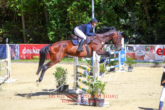 DKP43112 | Deine Turnierfotos vom Reitturnier online kaufen: Dressur, Springen & Siegerehrung. Professionelle Pferdefotografie aus dem Rheinland – als Download & Print.Alternative: Turnierfotograf für den Pferdesport: Finde deine Fotos von Dressur- und Springturnier