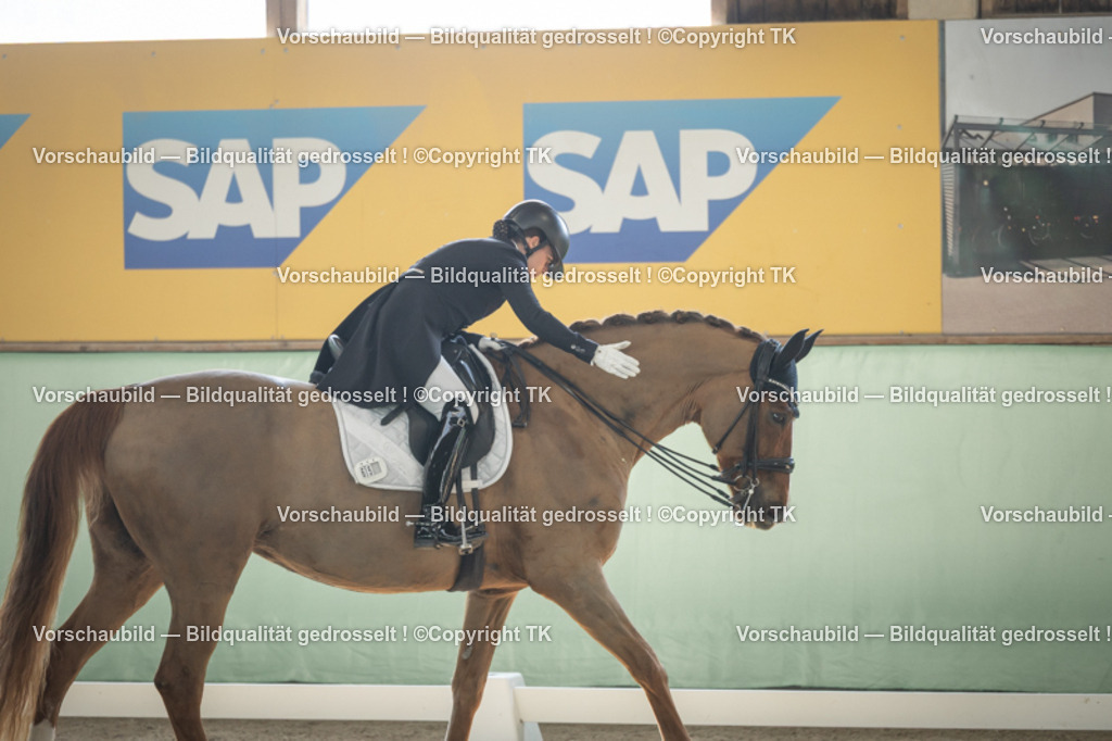 _D5A1403 | Emotionale Pferde- & People-Fotografie rund um Heidelberg, Leimen & Umgebung. Natürliche Fotos von Pferd, Mensch & Familie. Jetzt Termin sichern!