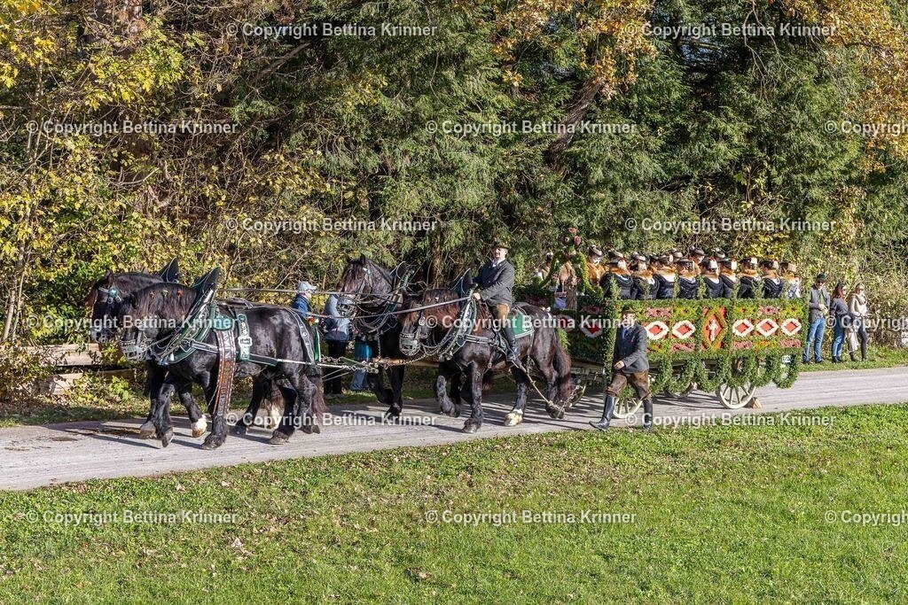 LBT24-433 | foto-bettina-krinner - Realisiert mit Pictrs.com