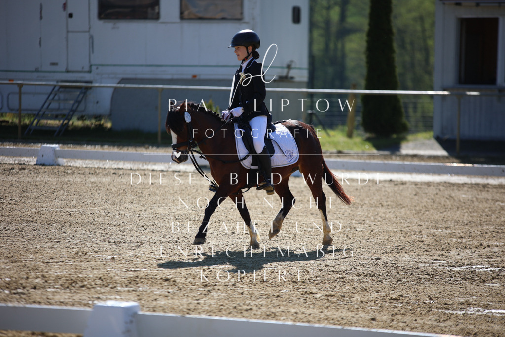 IMGT9546 | pl-fotografie