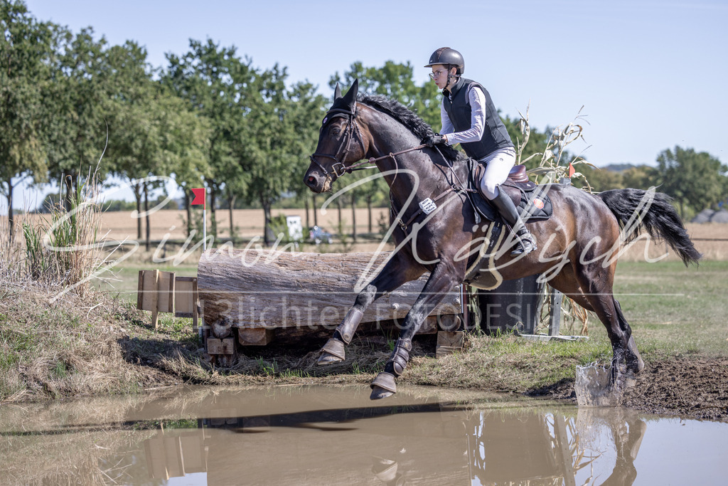 20260906-_3LI3145 | Tierfotografie Pferde, Hunde, Katzen, Haustiere.
Turnierfotografie Reitturniere, Reiten, Springreiten, Dressur in Hanau, dem Main-Kinzig-Kreis und dem Rhein-Main- Gebiet um Frankfurt