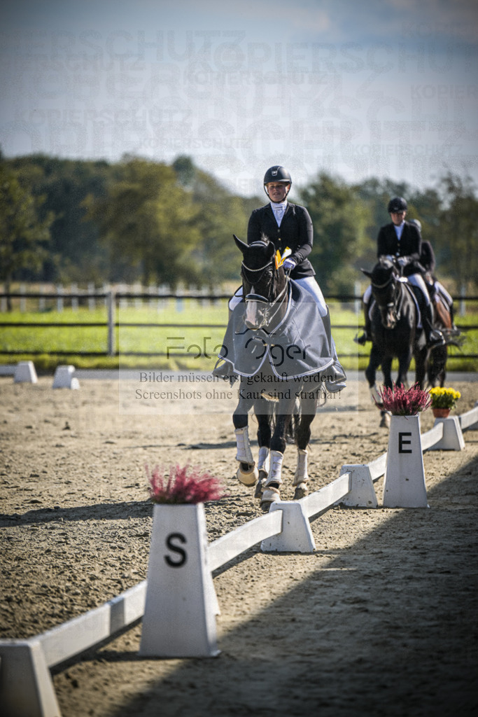 DOS_0049 | Entdecke hochwertige Reitturnierfotos von Foto Oger. Professionell, emotional und authentisch – jetzt Lieblingsmomente im Shop bestellen.Deutschlandweite Turnierfotografie. - Realisiert mit Pictrs.com