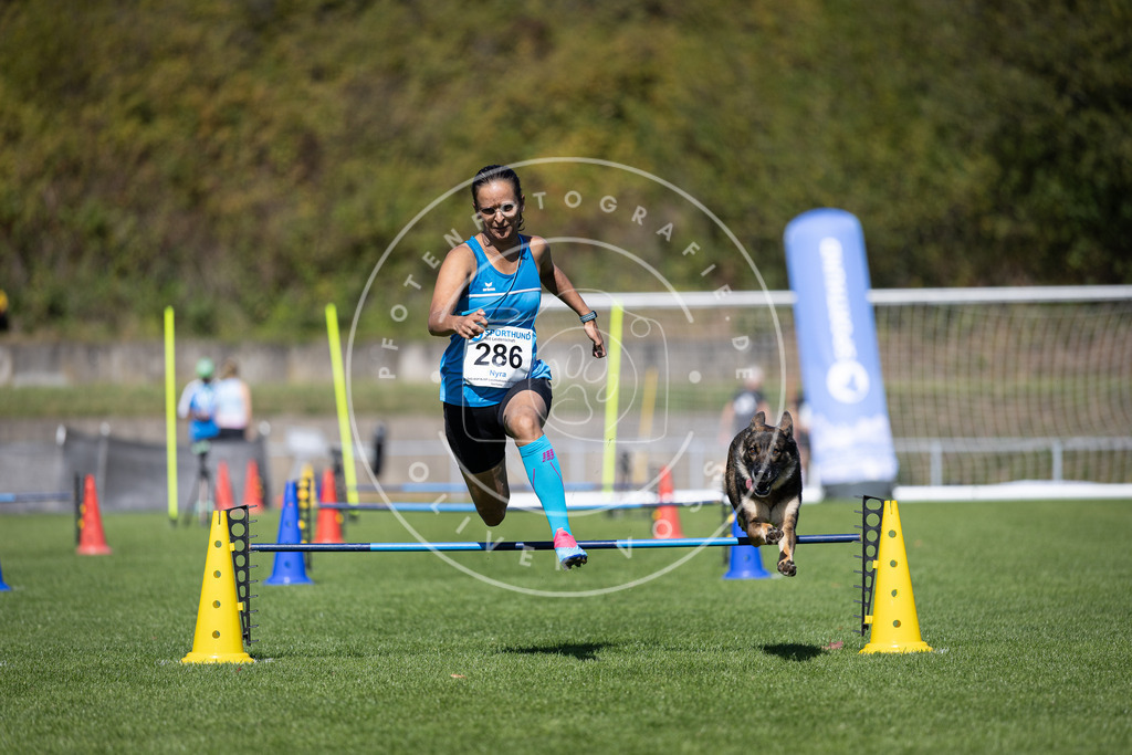 Pfotenfotografie_DV3A7236 | Hundefotografie, Tierfotograf, Pfotenfotografie, Fotoshooting Hund, Hunde Portrait, Hundesport, Hundeportraits, Heideshooting, Hunde, Sportfotograf, Hundefotograf, Turnierhundsport, THS,  - Realisiert mit Pictrs.com