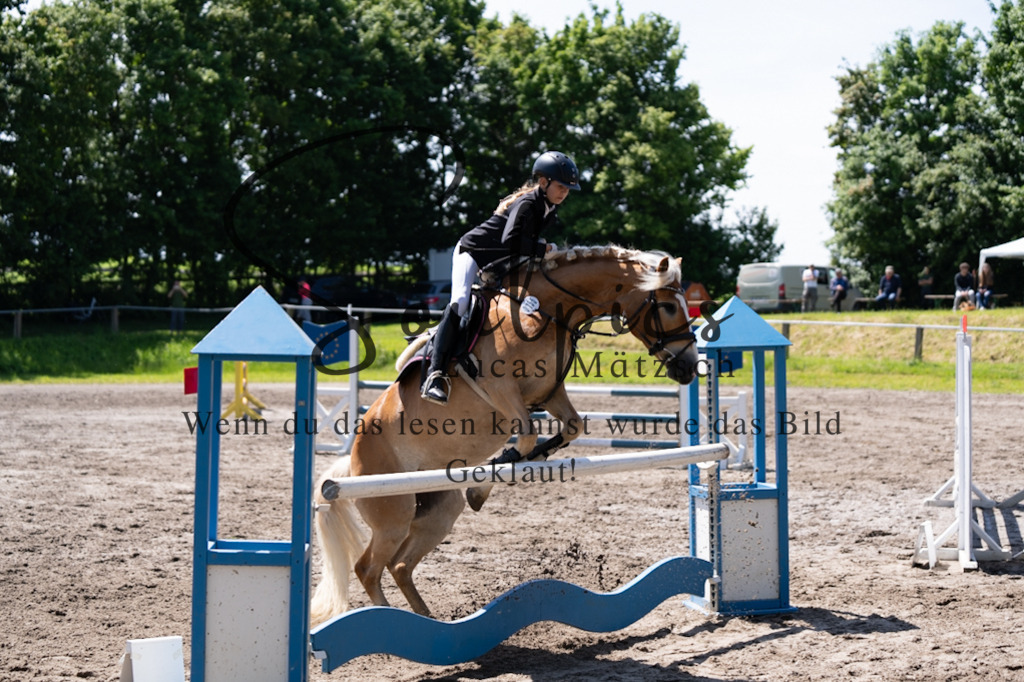 A7V04321 | Pferdefotograf