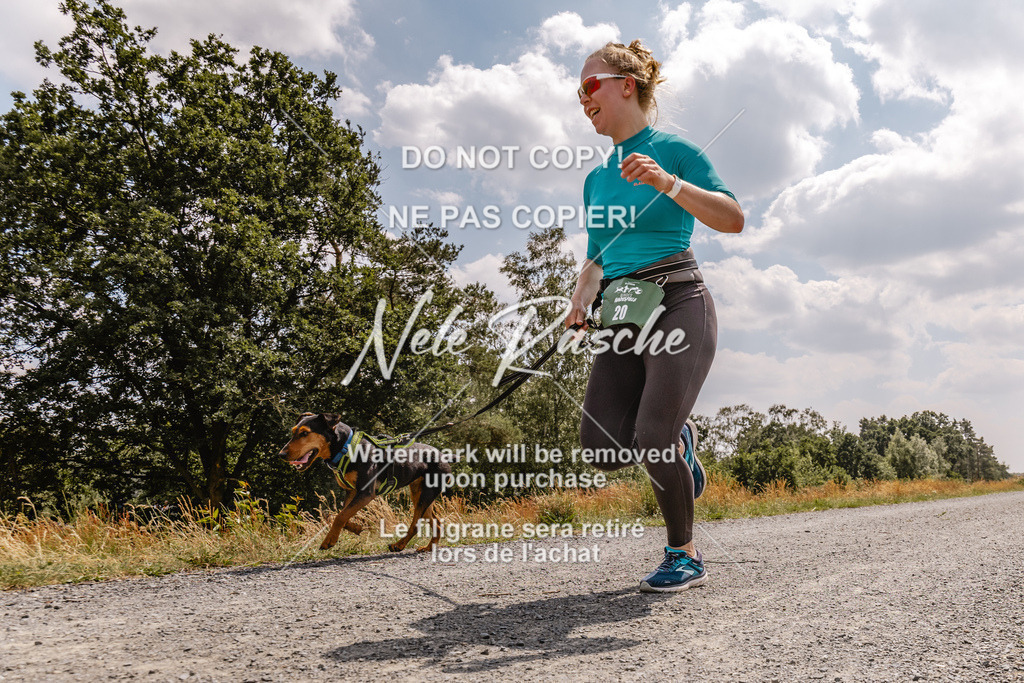 BUHU_CC_038 | nelerasche