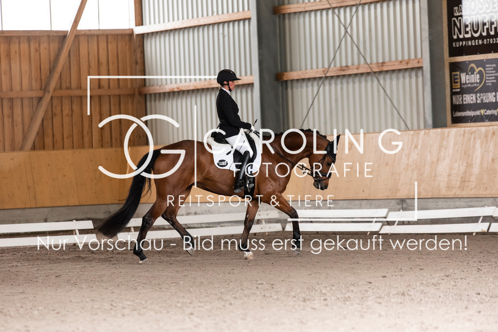 DSC_2836 | Carolin Gieschke