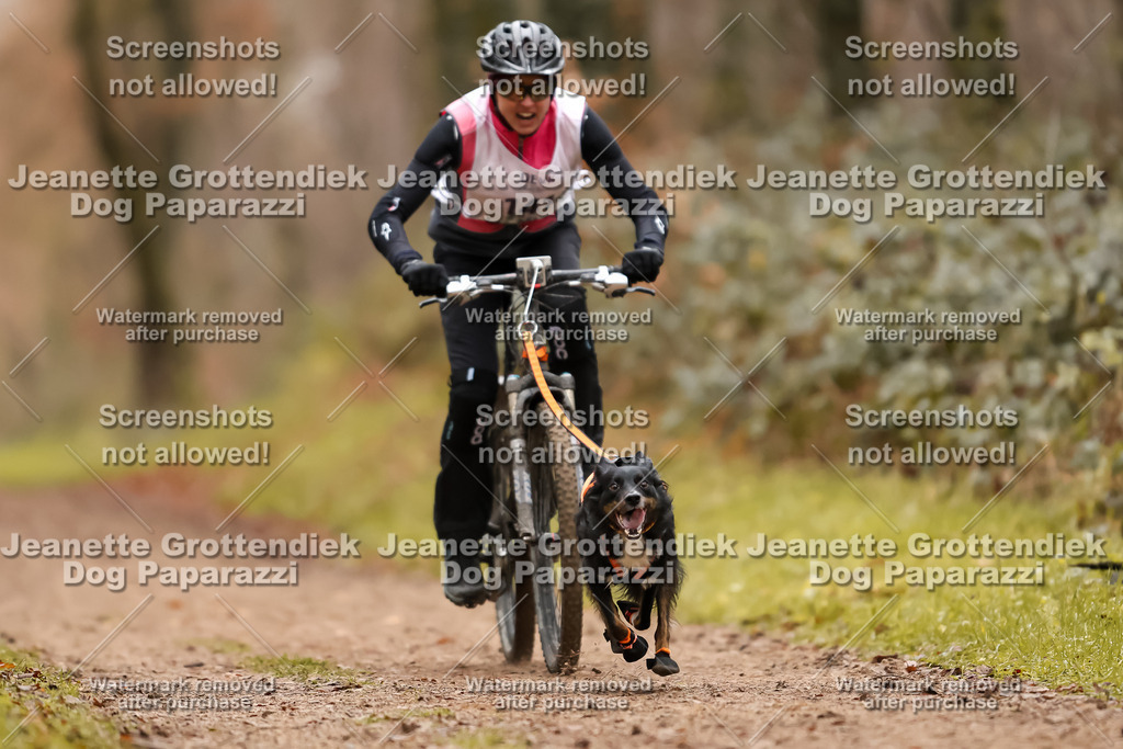 Dog Paparazzi - Speedhunter Mannheim  2025-395 | Dog Paparazzi Jeanette Grottendiek Fotografie & Videografie