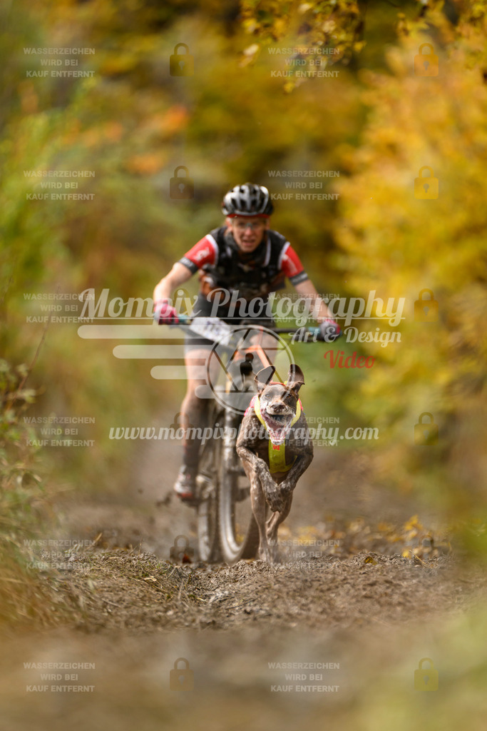 MompixPhotography_ICF_WC_2024_SA_Bike_-83 | PayLife