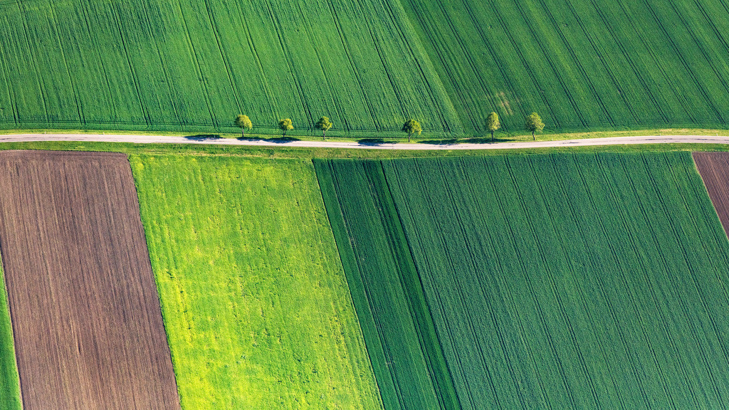 dr__0027229.jpg | WECHINGEN 14.05.2019 Baumreihe an einer Landstraße an einem Feldrand in Wechingen im Bundesland Bayern, Deutschland. // Row of trees on a country road on a field edge in Wechingen in the state Bavaria, Germany. Foto: Daniel Reiter