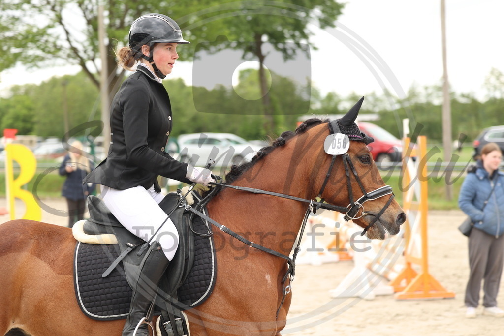 994A8815 | sabrinanicolaifotografie - Realisiert mit Pictrs.com