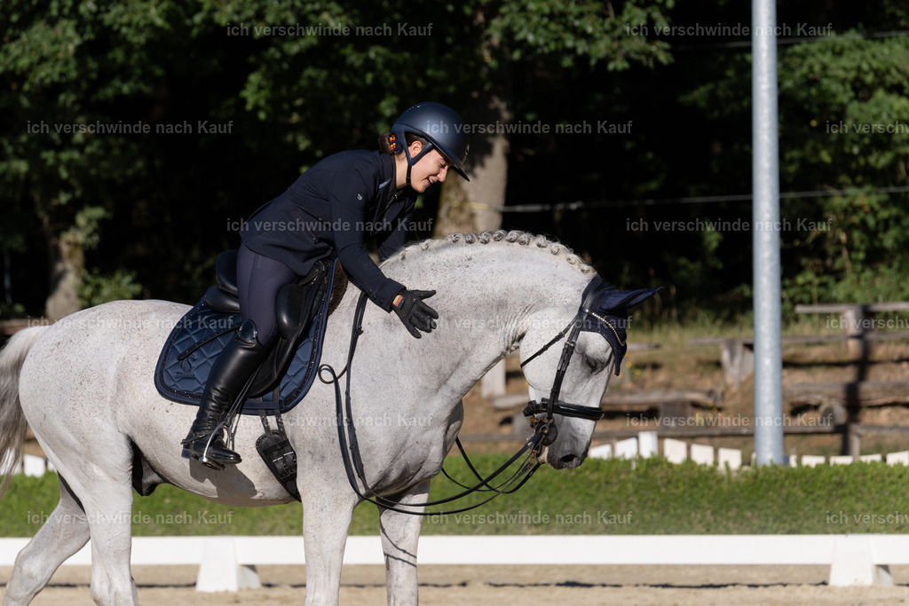 WM_DR_143_sinafilmart_IN04632 | working equitationturnier fotograf videograf stoibphotography marixx film working equitation deutschland reitsport turnierfotografie eventfotografie equestrian events