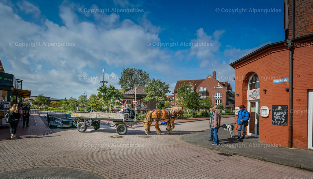 Juist-011 | Juist Nordsee - Realisiert mit Pictrs.com