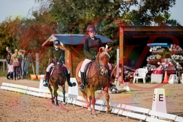 2026_10_03_Siefer-Hof_122048_Z63_44086664 | Professionelle Reitsport-, Turnier- und Eventfotografie von Robert Broda. Galerien mit ausgewählten und bearbeiteten Bildern direkt online ansehen und bestellen.