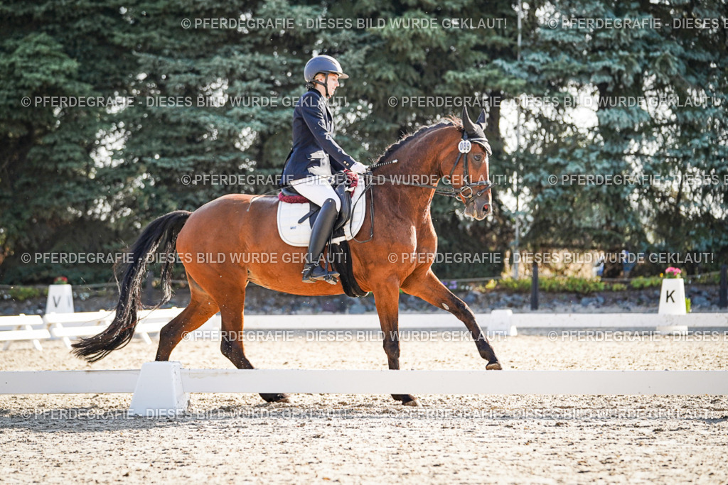 DSC09234 | Pferdegrafie