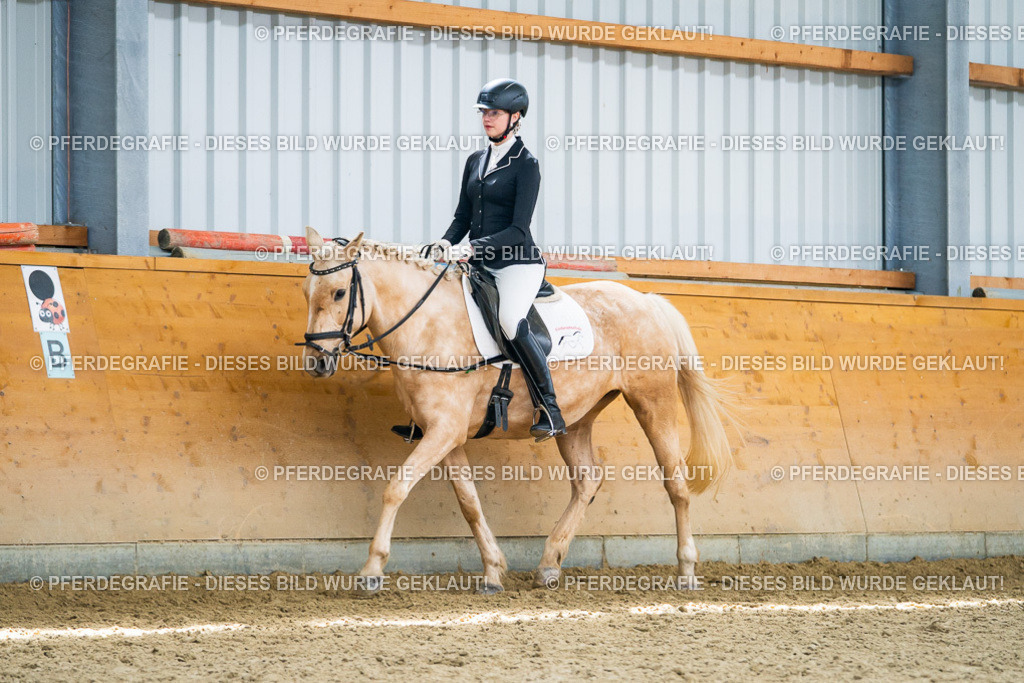 DSC04373 | Pferdegrafie