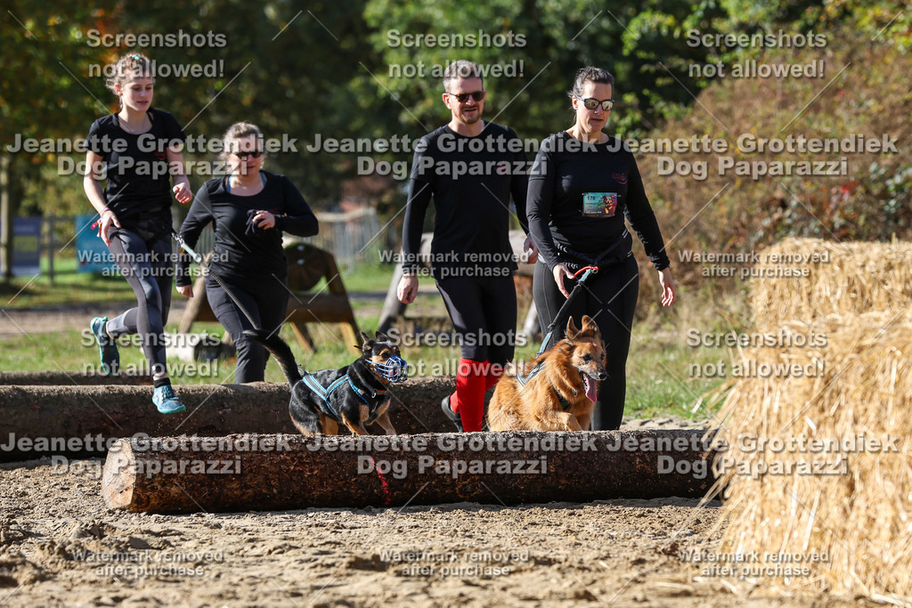 Dog Paparazzi - Strongdog 10-25-4836 | Dog Paparazzi Jeanette Grottendiek Fotografie & Videografie - Realisiert mit Pictrs.com