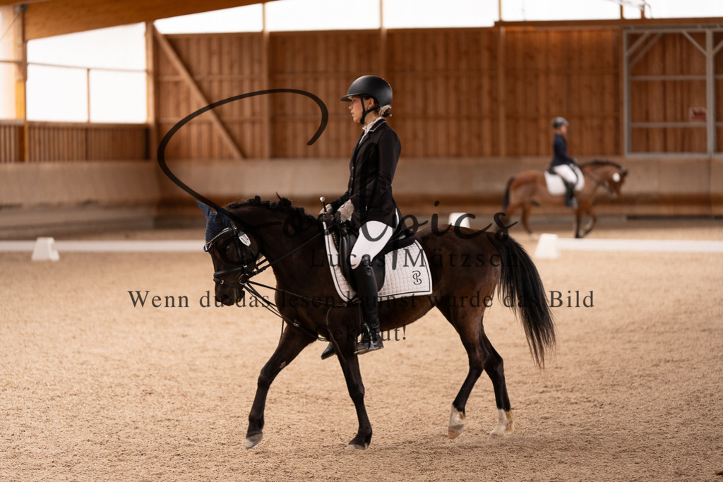 A7506941 | Turnier/Reitfotograf