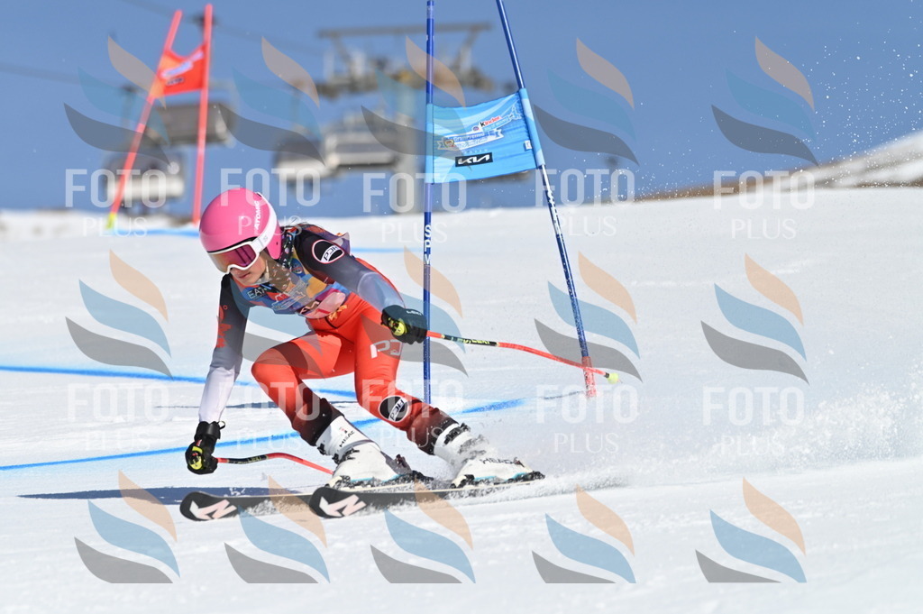 BGV_7586 | holidayphoto