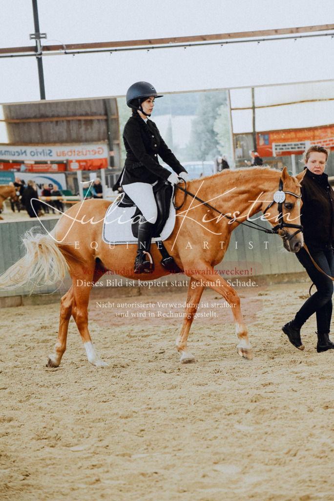 DSC_7183 | Pferde- und Turnierfotografie in Westsachsen. Pferdeportraits, Auftragszeichnungen und intuitive Kunst.