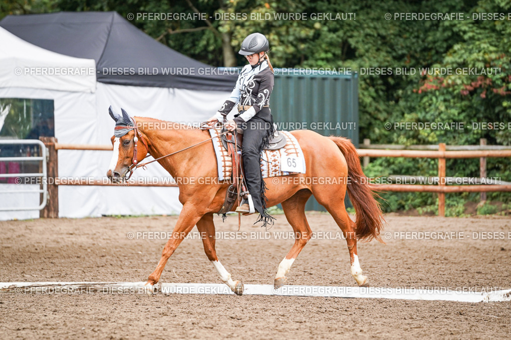 DSC04191 | Pferdegrafie