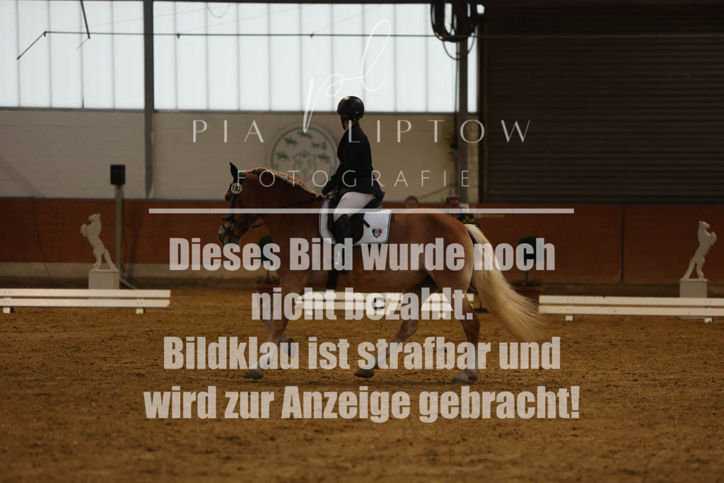 IMGM0341 | pl-fotografie