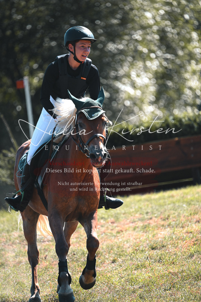 DSC_8084 | Pferde- und Turnierfotografie in Westsachsen. Pferdeportraits, Auftragszeichnungen und intuitive Kunst.