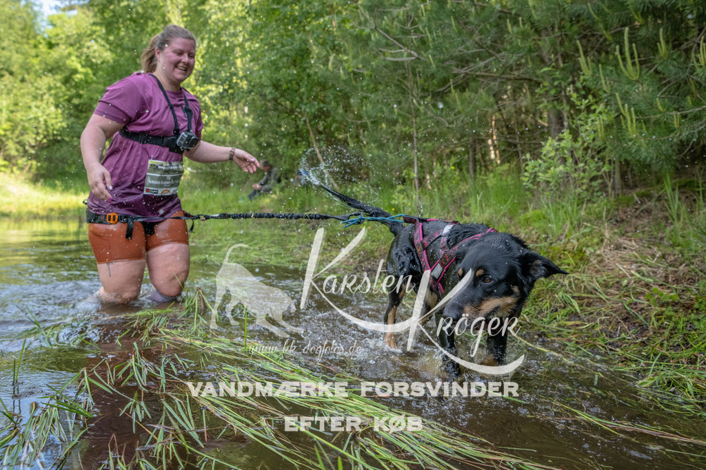 0955DKK9_ZZ93947 | kk-dogfotos