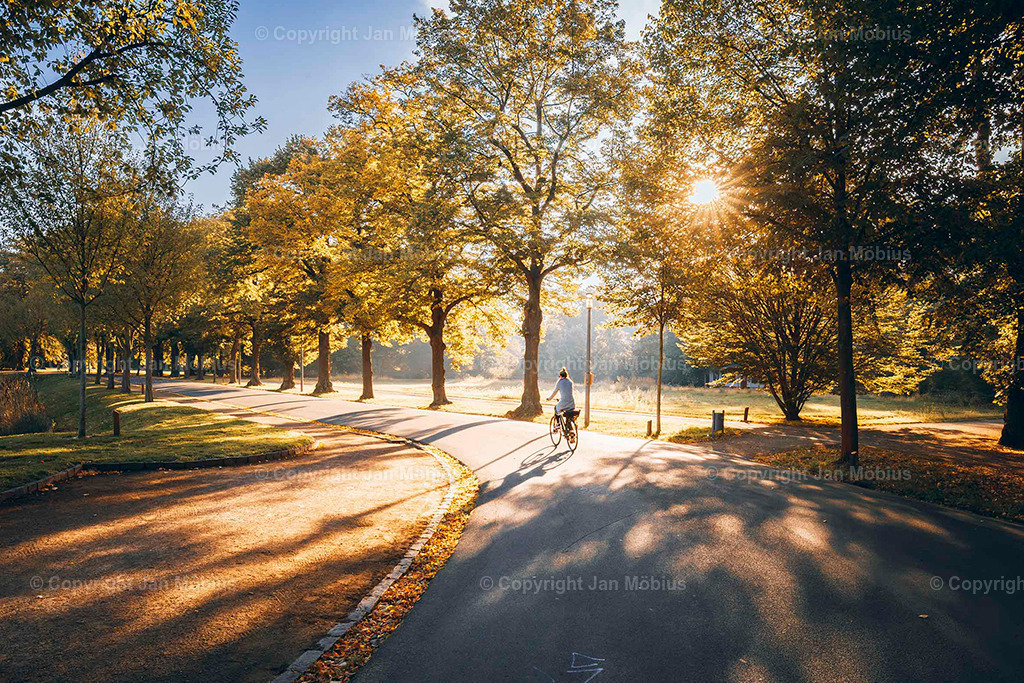 Clara Park | Der Clara-Zetkin-Park in Leipzig ist ein beliebter Ort für Natur, Sport und Erholung – perfekt für Spaziergänge, Jogging und entspannte Stunden im Grünen. - Realisiert mit Pictrs.com
