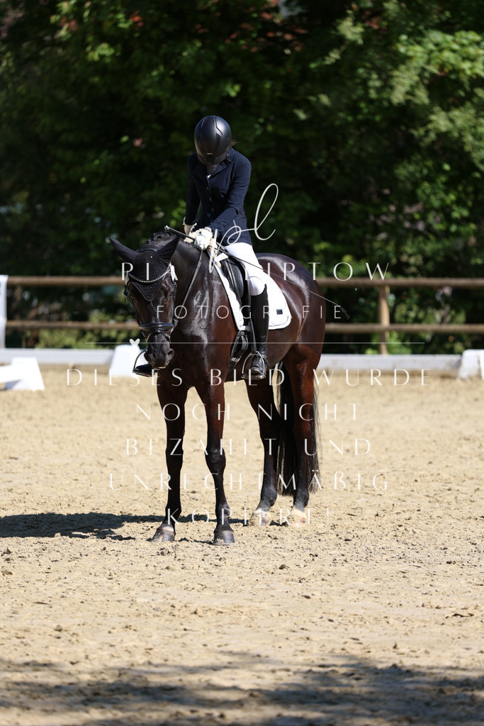 IMGT0453 | pl-fotografie