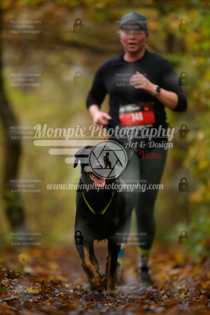 MompixPhotography_CD7S_DI_CCL-190 | mompixphotography