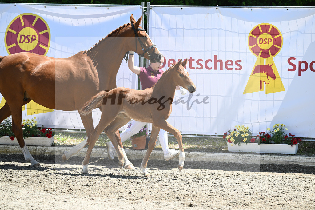 Kat-Nr. 28 SF Vaderland_ZG Weinmann_12230671 | hf-fotografie - Realizzato con Pictrs.com