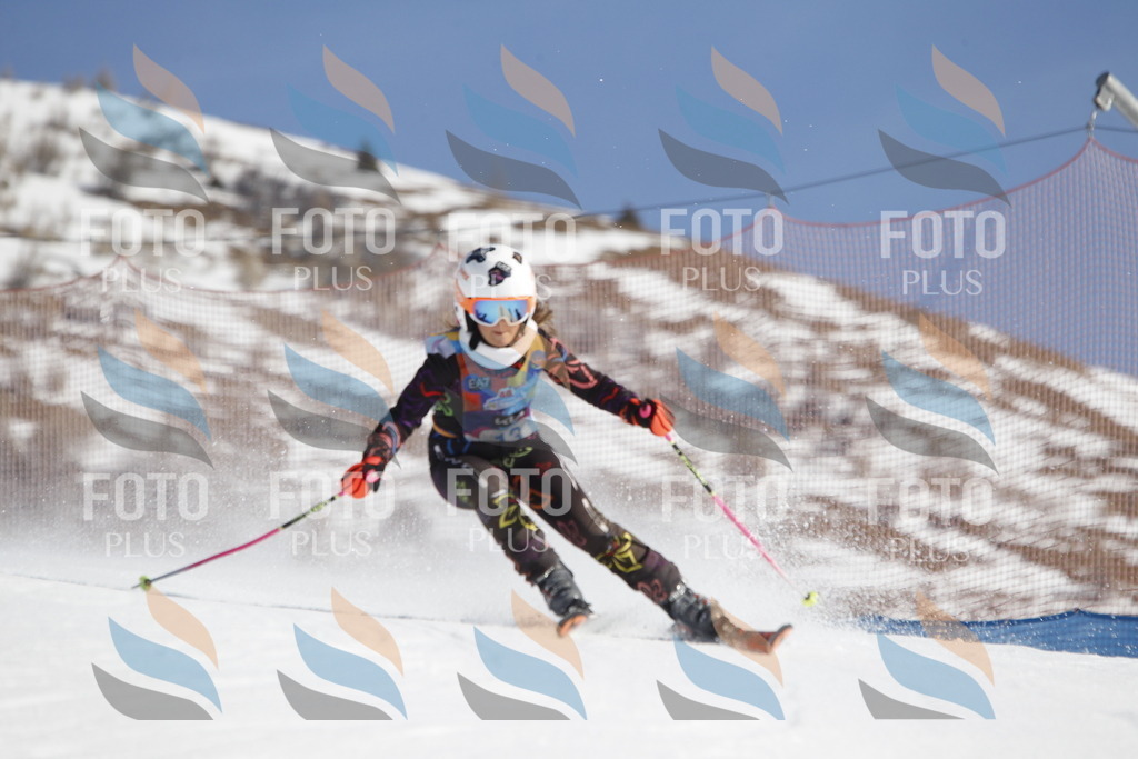 _U3G8702 | holidayphoto