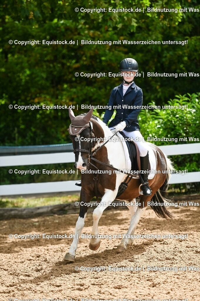 20230716_10-2_Reiter-WB Schritt - Trab - Galopp_0178 | equistock