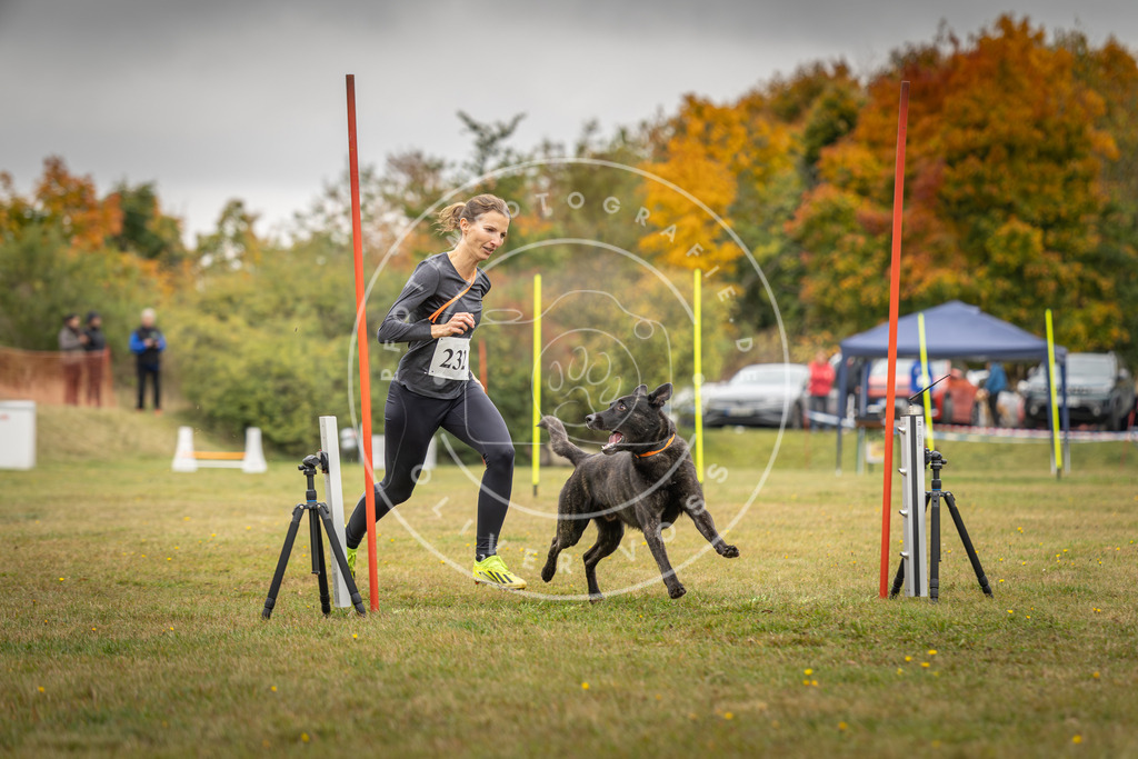 Pfotenfotografie_DV3A4253 | Hundefotografie, Tierfotograf, Pfotenfotografie, Fotoshooting Hund, Hunde Portrait, Hundesport, Hundeportraits, Heideshooting, Hunde, Sportfotograf, Hundefotograf, Turnierhundsport, THS,  - Realisiert mit Pictrs.com
