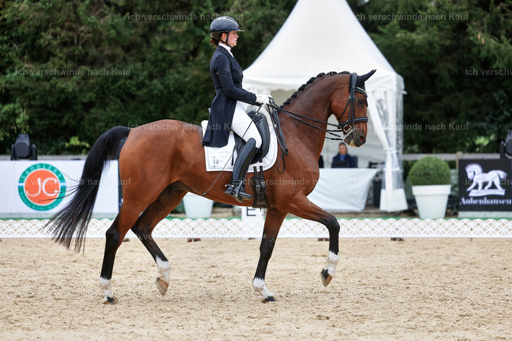 11-048-Dressur S___-StoibPH-1419 | working equitationturnier fotograf videograf stoibphotography marixx film working equitation deutschland reitsport turnierfotografie eventfotografie equestrian events