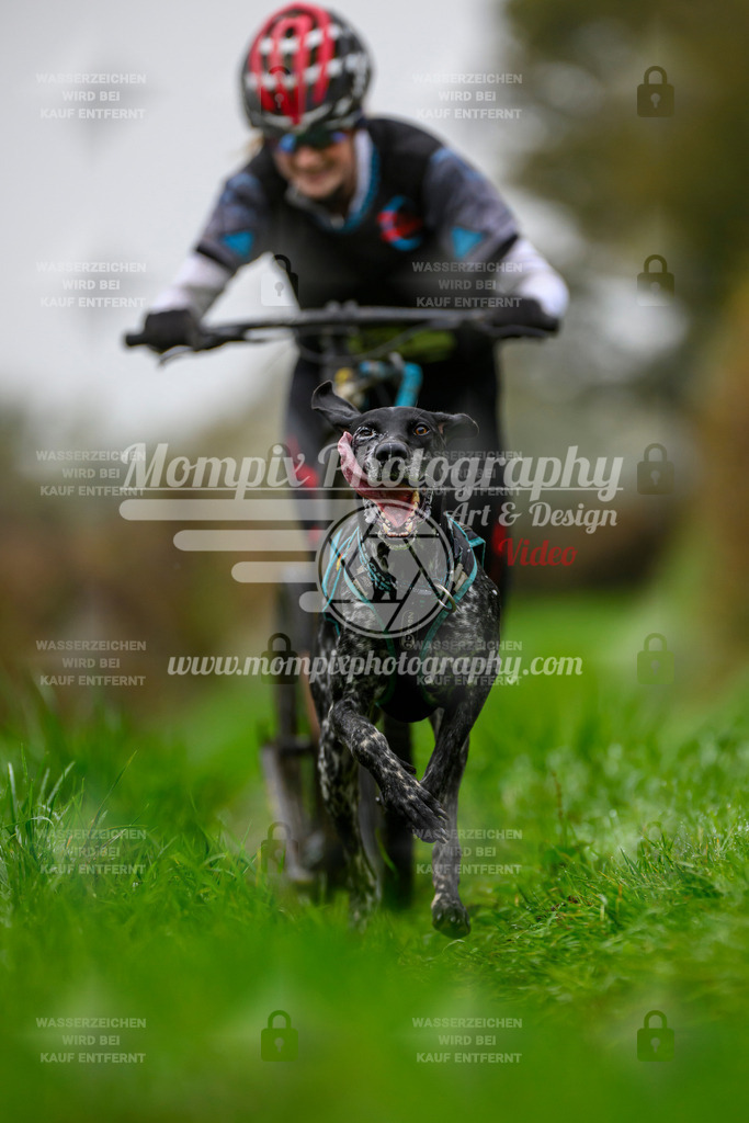 MompixPhotography_20TSB_E8_DS1-19 | PayLife