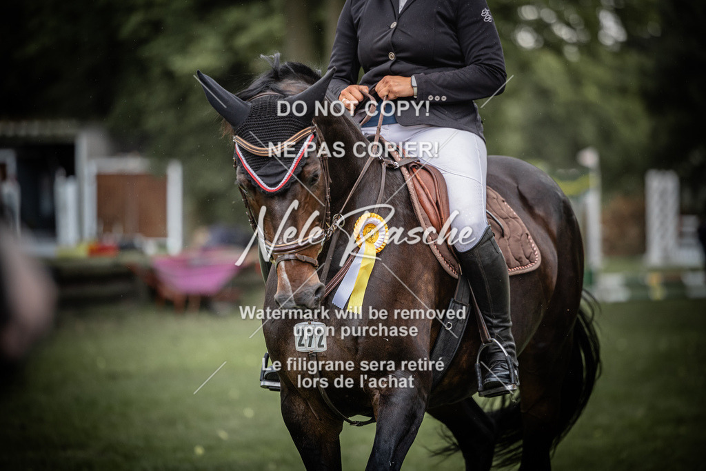 nelerasche_SprA__100Ede_48 | nelerasche