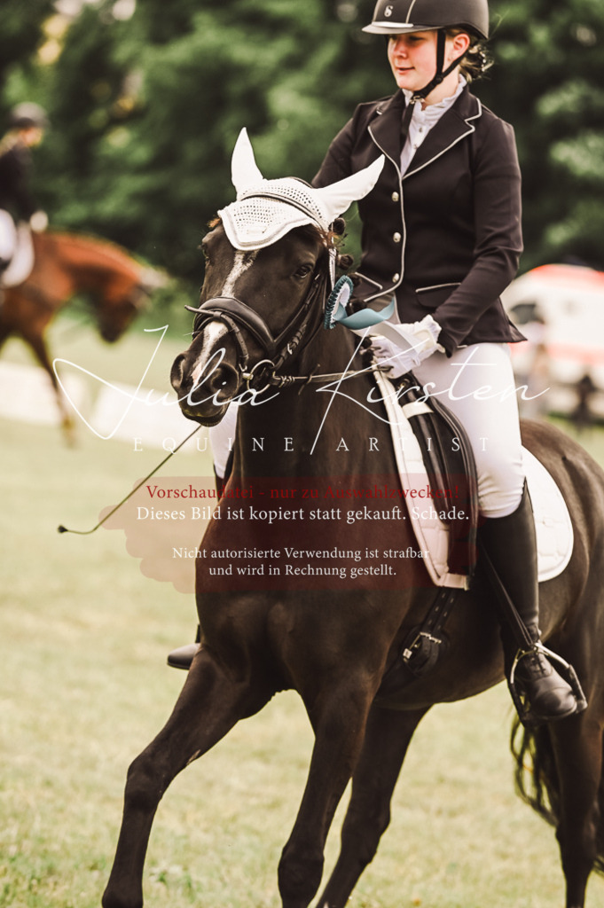 DSC_5180 | Pferde- und Turnierfotografie in Westsachsen. Pferdeportraits, Auftragszeichnungen und intuitive Kunst.