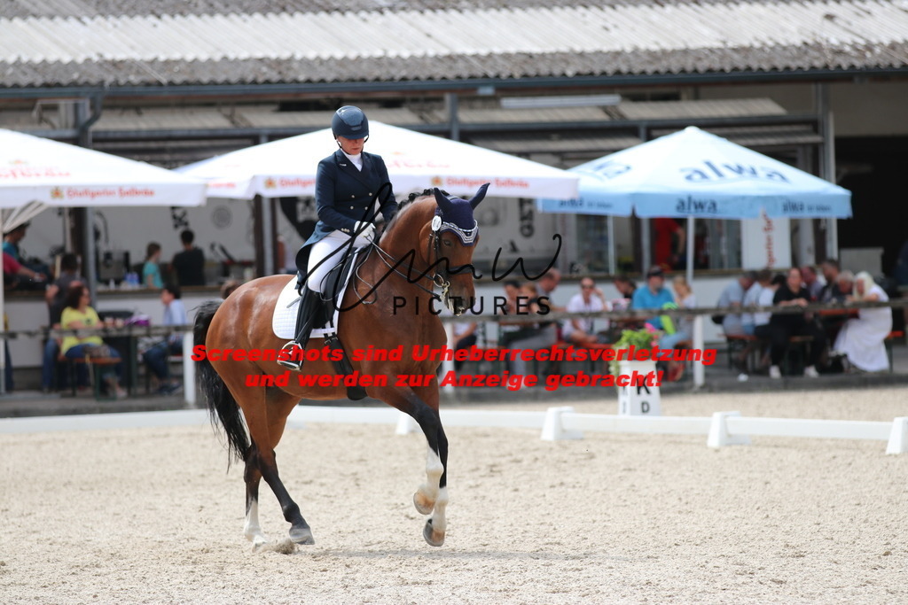 IMG_1691 | lmwpictures - Realisiert mit Pictrs.com