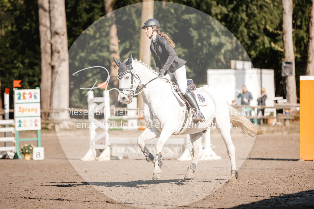 3I6A3770 | Stimmungsvolle Portraits und Reitsportfotografie im Ruhrgebiet und im Münsterland.

Pferdefotografie, Hundefotografie, Tierfotografie, Reportagen, Portraits von Tier und Mensch, Turnierfotografie in Bochum, Recklinghausen, Marl, Haltern am See, Dülmen.. - Realisiert mit Pictrs.com