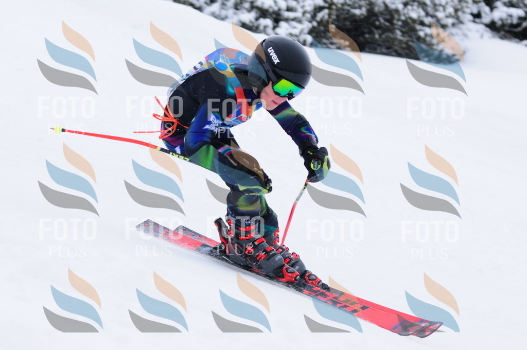 C2950 | holidayphoto