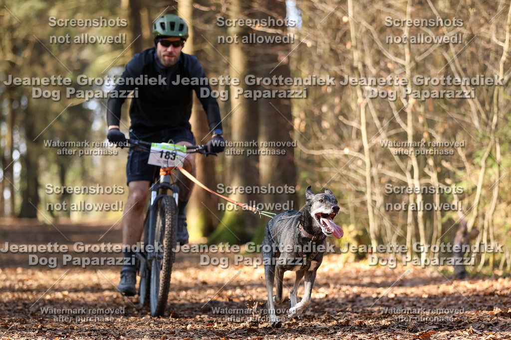 Dog Paparazzi - VCC26-959 | Dog Paparazzi Jeanette Grottendiek Fotografie & Videografie - Realisiert mit Pictrs.com