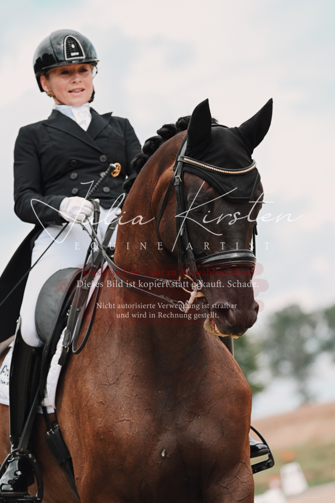DSC_4171 | Pferde- und Turnierfotografie in Westsachsen. Pferdeportraits, Auftragszeichnungen und intuitive Kunst.